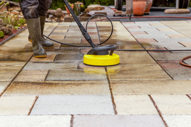 Best Animal Enclosure Cleaning  in Arlington, OH